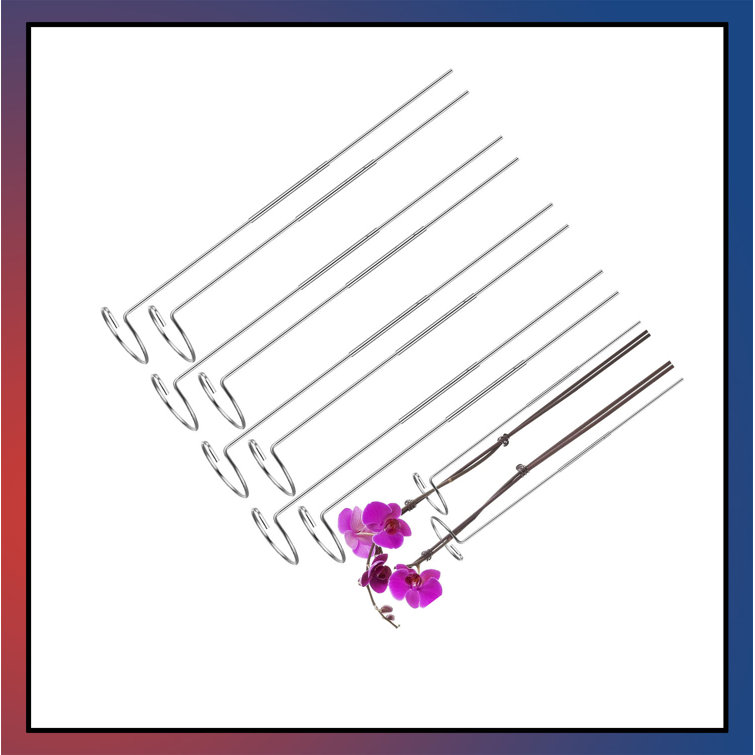 Arlmont & Co. 10 PackPlant Support Stake Garden Single Stem Flower